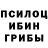 Галлюциногенные грибы Magic Shrooms Layrs Nizamudinova