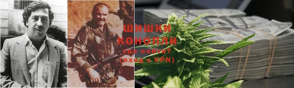 крисы Новозыбков
