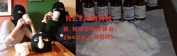 крисы Новозыбков
