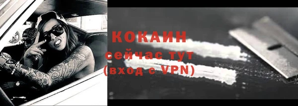 Альфа ПВП Няндома