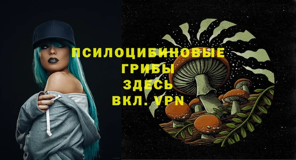 кристаллы Новодвинск