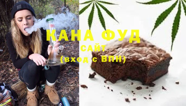 Альфа ПВП Няндома