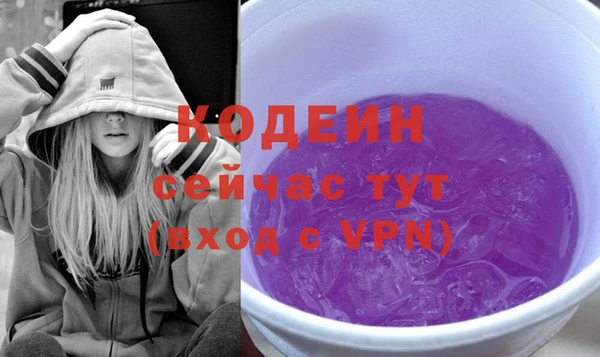 Альфа ПВП Няндома