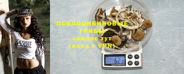 дживик Болохово