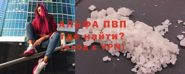 крисы Новозыбков