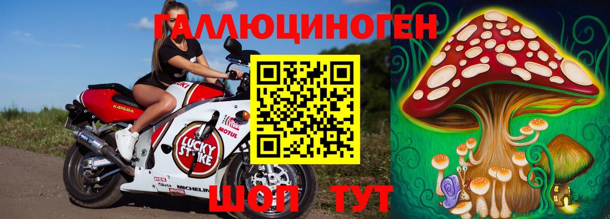 Галлюциногенные грибы MAGIC MUSHROOMS Павловский Посад