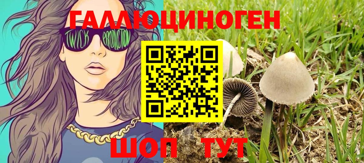 Псилоцибиновые грибы мухоморы  Вход с VPN  Павловский Посад  Галлюциногенные грибы Psilocybine cubensis 